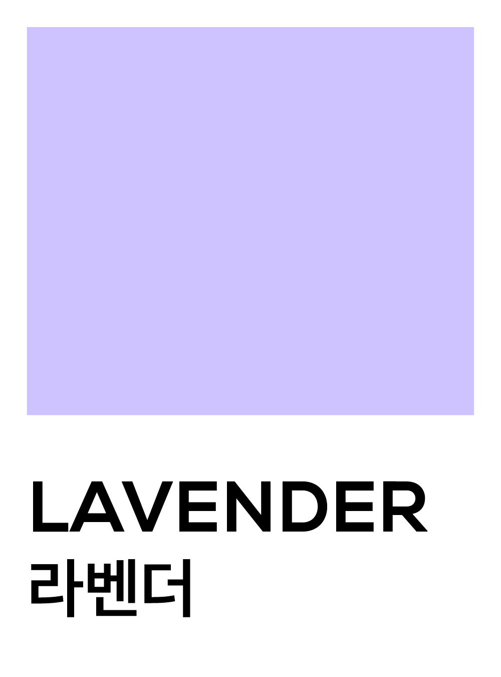 라벤더