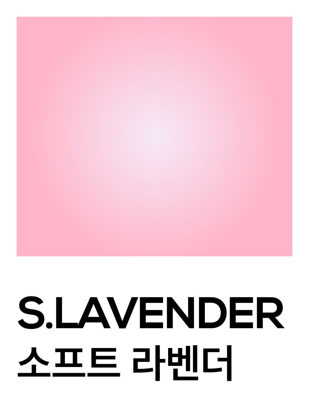 소프트 라벤더